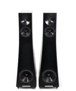 Loa YG Acoustics Hailey 3