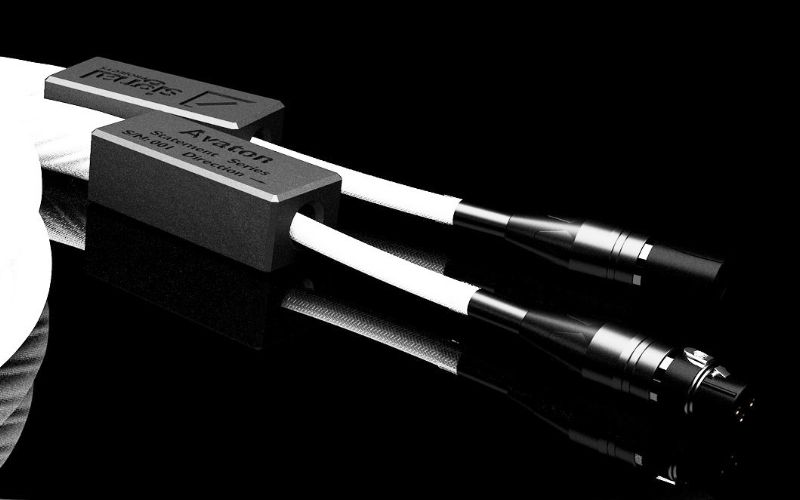Dây tín hiệu Signal Projects Statements Avaton XLR