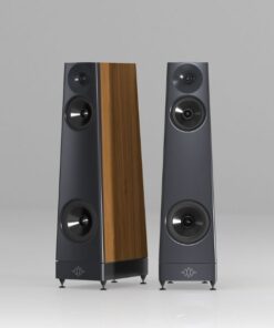 Loa YG Acoustics Peaks Ascent