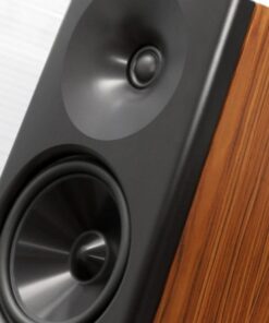 Loa YG Acoustics Peaks Ascent