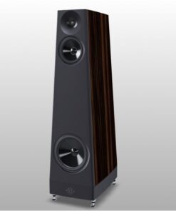 Loa YG Acoustics Peaks Summit Loa YG Acoustics Peaks Summit