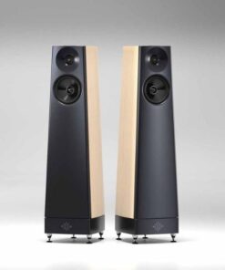 Loa YG Acoustics Peaks Talus Loa YG Acoustics Peaks Talus